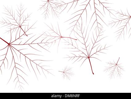 Giallo autunno foglie di acero. Illustrazione Vettoriale