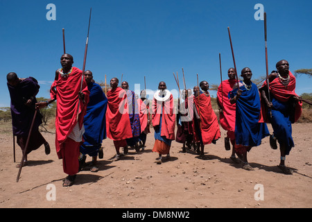 Un gruppo di Guerrieri Maasai eseguire una sorta di marzo-passato durante la tradizionale cerimonia Eunoto eseguita in una venuta di cerimonia di età per i giovani guerrieri della tribù Masai del Ngorongoro Conservation Area nel cratere Highlands area della Tanzania Africa orientale Foto Stock