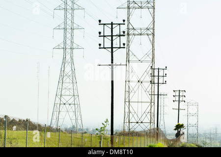 Telefono e cavi elettrici Foto Stock