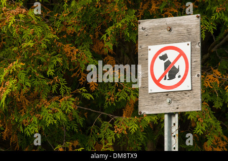 Segno per nessun cane il littering Foto Stock