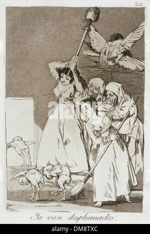 Questa collezione espone vari pezzi d'arte in diverse regioni, tra cui l'arte antica e islamica, l'arte americana ed europea, nonché costumi e tessuti. Queste opere offrono una visione della diversità culturale del loro tempo, che abbraccia l'arte del Medio Oriente, del Pacifico, dell'Asia e molto altro ancora. La collezione offre una ricca esplorazione della storia e del design, con pezzi notevoli che rappresentano antiche civiltà, arte moderna e arti decorative Foto Stock