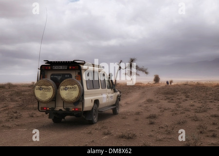 Un Jeep Safari guida attraverso le pianure del Ngorongoro Conservation Area nel cratere Highlands area della Tanzania Africa orientale Foto Stock