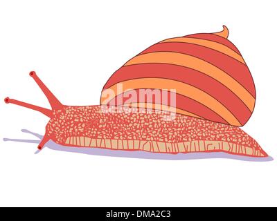 Snail cartoon isolato su bianco Illustrazione Vettoriale