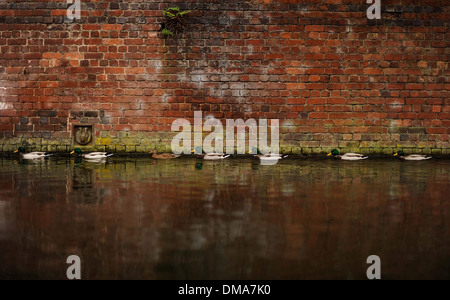 Autunno da uno dei canali di Birmingham, Inghilterra Foto Stock