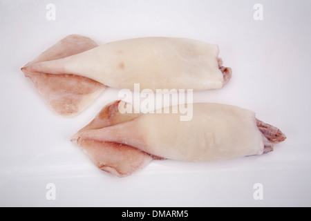 Calamari congelati pack mangiare pesce prodotto commercio all'ingrosso molti pack di ghiaccio freddo vendere acquistare crudo pesce crudo pesca commerciale commerce consumano Foto Stock