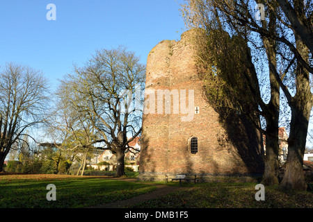 Cow Tower, Norwich, Norfolk, Regno Unito Foto Stock