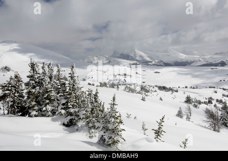 Un panorama invernale della vastità al di là di Sunshine Village nelle Montagne Rocciose Canadesi shot mentre su racchette da neve trek. Foto Stock