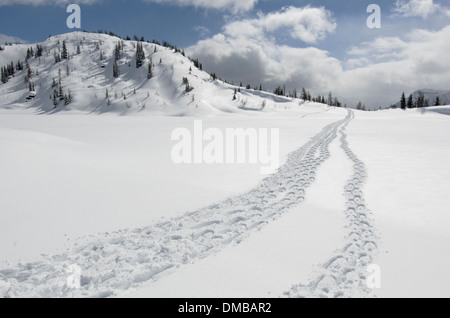 Un panorama invernale della vastità al di là di Sunshine Village nelle Montagne Rocciose Canadesi shot mentre su racchette da neve trek. Foto Stock