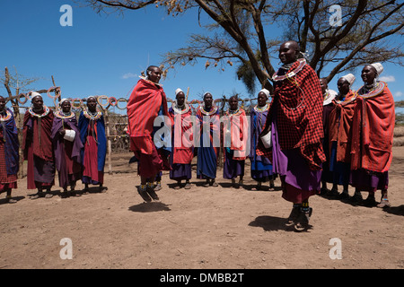 Un gruppo di donne Masai nella loro più spettacolari costumi balli durante la tradizionale cerimonia Eunoto eseguita in una venuta di cerimonia di età per i giovani guerrieri della tribù Masai del Ngorongoro Conservation Area nel cratere Highlands area della Tanzania Africa orientale Foto Stock