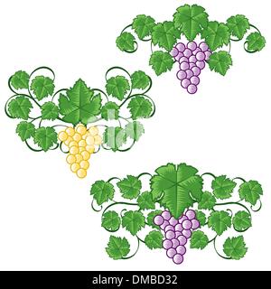 Etichette di vino ornamenti di decorazione Illustrazione Vettoriale