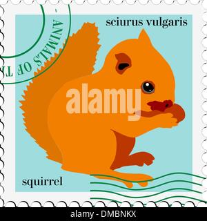 Timbro con immagine di scoiattolo Illustrazione Vettoriale
