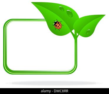 Coccinella sulla foglia verde Illustrazione Vettoriale