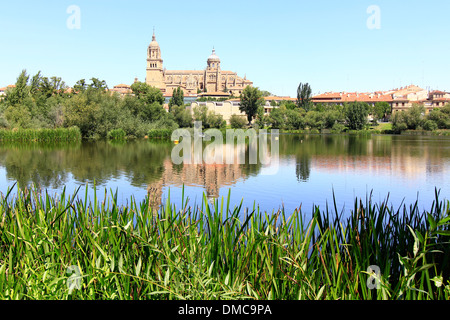 Vista generale della Cattedrale di Salamanca, Spagna Foto Stock