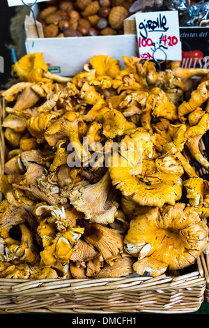 Girolle funghi in vendita su Borough Market Foto Stock