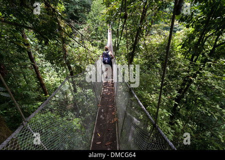 Passerelle sospese nella foresta a Rainmaker Progetto di Conservazione Costa Rica Foto Stock