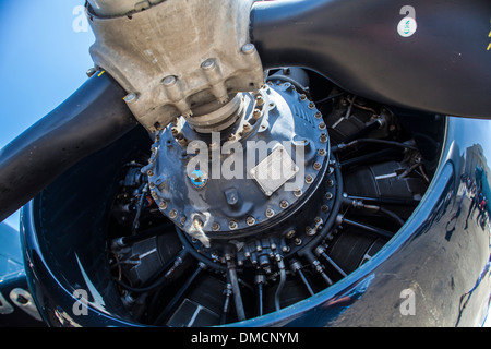 Un F7F Tigercat in corrispondenza delle ali su Camarillo Air Show Agosto 2011 Foto Stock