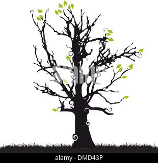 Silhouette di alberi vecchi, erba, estate Illustrazione Vettoriale