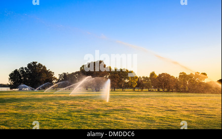 Irrigazione sprinkler un parco molto presto la mattina in un giorno di estate in Perth, Western Australia Foto Stock