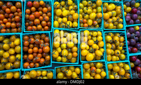 Mercato degli agricoltori di produrre: Pomodori ciliegia Foto Stock