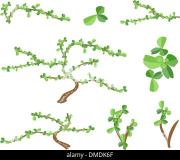 Set isometrica di albero di Bonsai e piante verdi Illustrazione Vettoriale