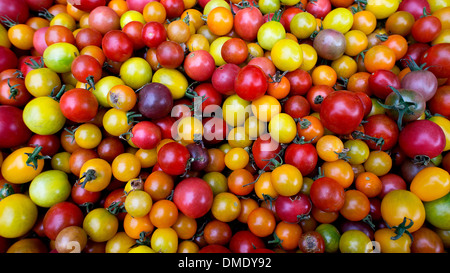 Mercato degli agricoltori di produrre: Pomodori ciliegia Foto Stock