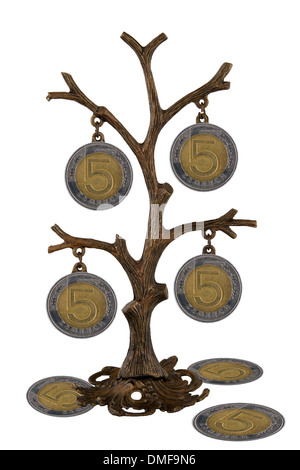 Money Tree, polacco denaro sull'albero. Foto Stock