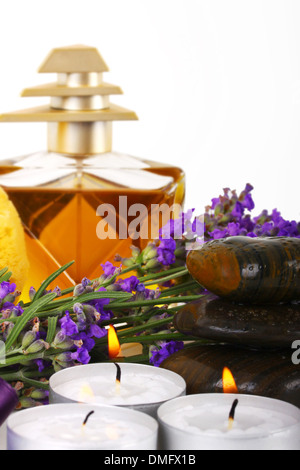 Spa accessori e lavanda su sfondo bianco Foto Stock