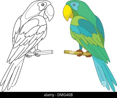 Bird parrot su un pesce persico Illustrazione Vettoriale