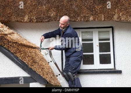 La Thatcher lattoneria tetto, Dartmoor Devon, Inghilterra, Regno Unito Foto Stock