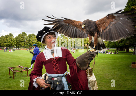 La Harris Hawk in un display di falconeria con attori nel periodo Tudor costume di Hampton Court Palace a Londra, Inghilterra, GB, UK. Foto Stock