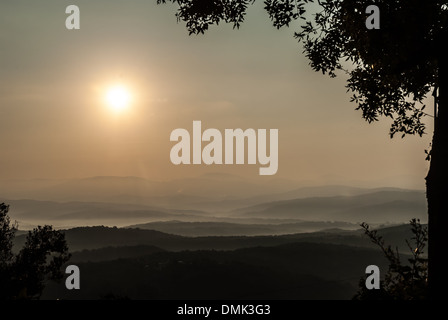Questa fotografia cattura una tranquilla vista mattutina da una strada tra Suvereto e Sassetta in Toscana, Italia. L'immagine viene scattata poco dopo l'alba, mostrando il pittoresco paesaggio della regione. Foto Stock