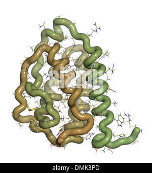 Granulocita-colonia macrofago-fattore stimolante (GM-CSF, molgramostim, sargramostim molecola). Globuli bianchi il fattore di crescita. Foto Stock