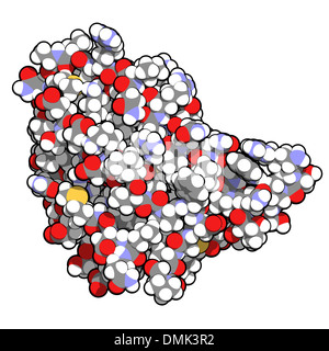 Granulocita-colonia macrofago-fattore stimolante (GM-CSF, molgramostim, sargramostim molecola). Globuli bianchi il fattore di crescita. Foto Stock
