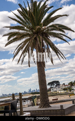 La spiaggia di Brighton serie Melbourne del cielo della città in background su superbe estati giorno grande palma centro del telaio Foto Stock