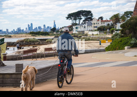 La spiaggia di Brighton serie Melbourne del cielo della città in background su superbe estati giorno alcuni scatti uomo in bici con il cane sulla spiaggia di Palm Foto Stock