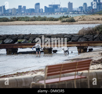 La spiaggia di Brighton serie Melbourne del cielo della città in background su superbe estati giorno donna sulla spiaggia con il cane in acqua Foto Stock