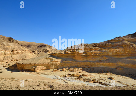 Frammento di antico deserto e montagne. Deserto del Negev, Israele. Foto Stock