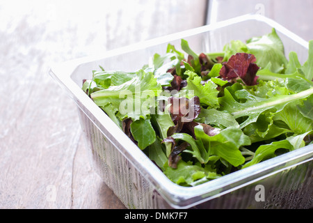 Insalata, pronti da consumare fresco dal supermercato imballaggi in plastica. Foto Stock