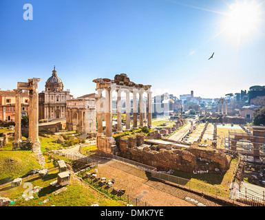 Le rovine romane di Roma, Forum Foto Stock