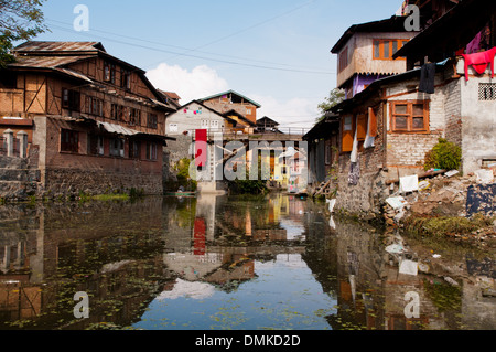 Dal lago famoso per i suoi giardini, laghetti e case galleggianti in Srinigar, Jammu e Kashmir. Foto Stock