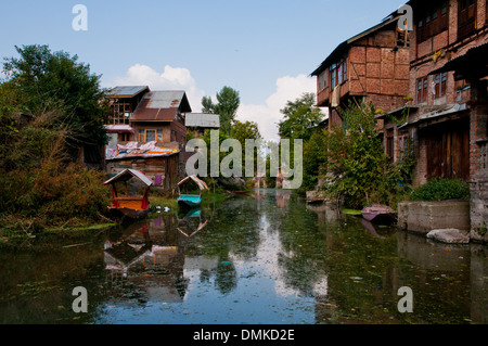 Dal lago famoso per i suoi giardini, laghetti e case galleggianti in Srinigar, Jammu e Kashmir. Foto Stock