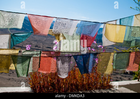La bellissima valle di Leh in Ladakh, India. Foto Stock
