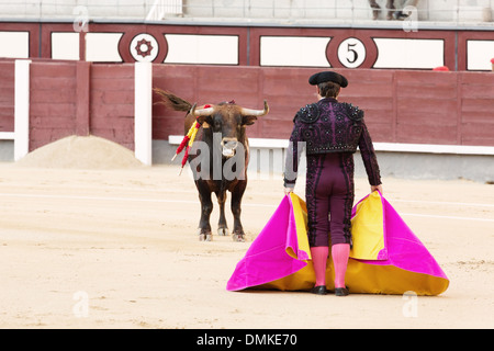 Torero coaxing bull nell'arena Las Ventas di Madrid. Foto Stock