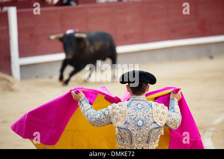 Torero coaxing bull nell'arena Las Ventas di Madrid. Foto Stock