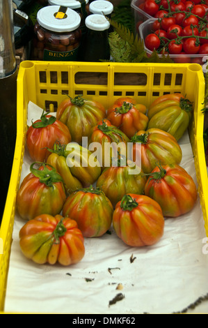 Pomodori per la vendita nel famoso Campo de' Fiori mercato in Roma Foto Stock