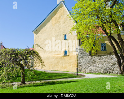 La molla nel parco di Tallinn Foto Stock