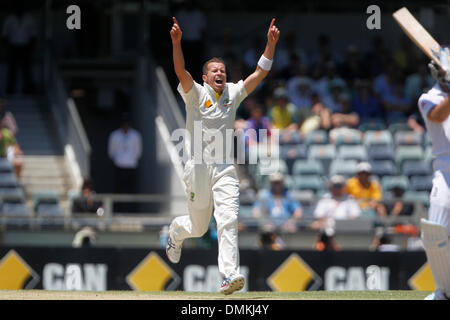 WACA, Perth, Australia. 15 Dic, 2013. Peter Siddle appelli per il paletto. Tra Inghilterra e Australia 3° Ceneri Test svoltosi a Perth al WACA , WA , Australia. Credito: Azione Sport Plus/Alamy Live News Foto Stock