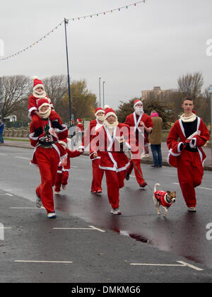 Southsea, Portsmouth, Hampshire, Regno Unito. 15 dic 2013. Un gruppo di famiglia in veste di Santa con un cane nella corsa verso il traguardo della Santa eseguire Credito: simon evans/Alamy Live News Foto Stock