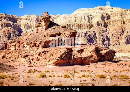 Rock a spirale in formazione di Timna Park in Israele Foto Stock