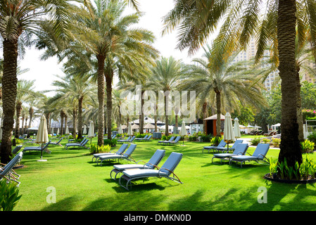 I lettini sul prato verde e il palm tree di ombre in un lussuoso hotel di Dubai, Emirati arabi uniti Foto Stock